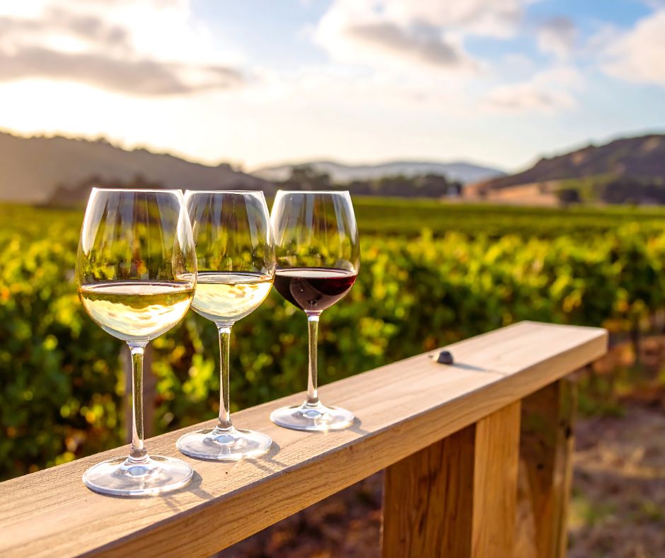 Photo of three wine glasses sitting on a railing with a vineyard in the background.
